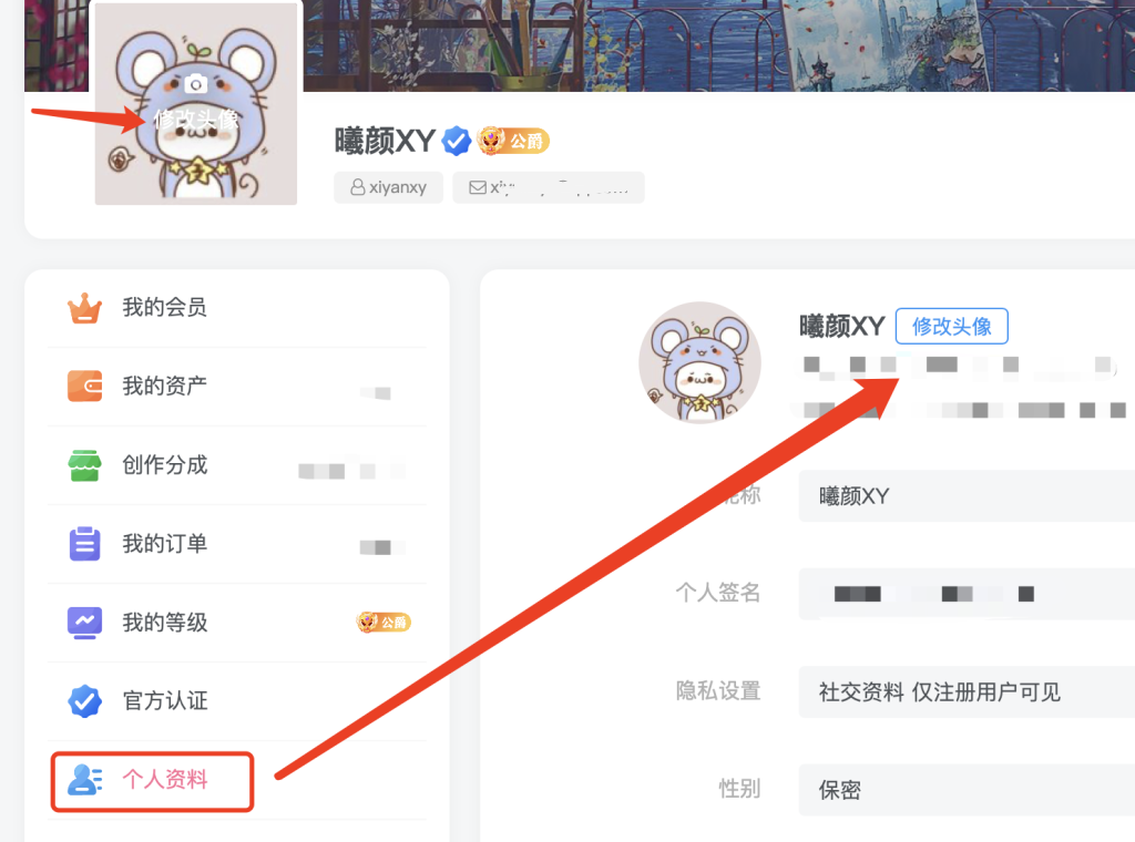 子比主题 用户头像上传功能控制开关(新增功能)-淇云博客-专注于IT技术分享